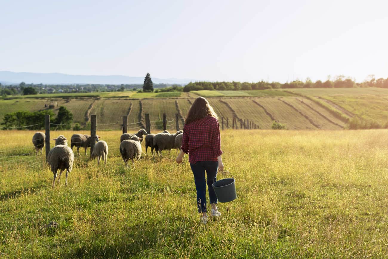 Insurance For Your Farm